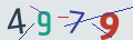 verifycode